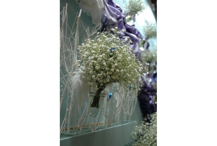 【花言葉①】かすみ草　【練馬 中村橋 塾】