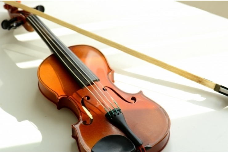 世界一小さなバイオリン
