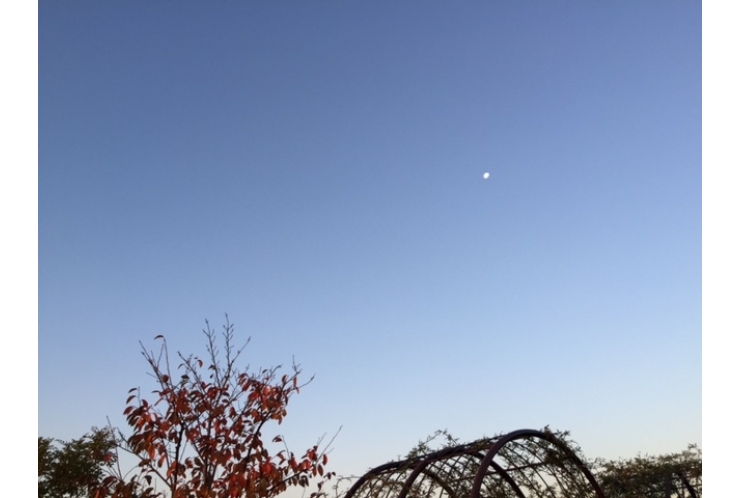 【この夏伝えたこと】勉強を通して何を身に付けているのか