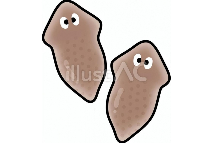 生物のふえかた