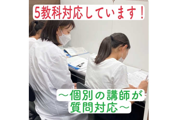 5教科対応しています！～個別の講師が質問対応～