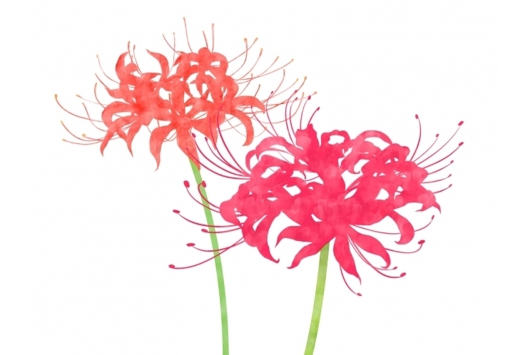 暑さ寒さも彼岸まで？