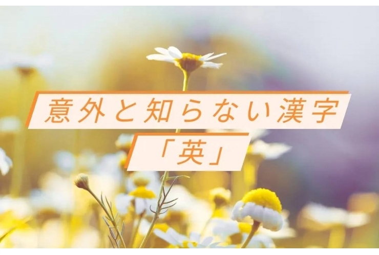 意外と知らない漢字の成り立ち①『英』！ 個別指導　英才個別学院　立会川校