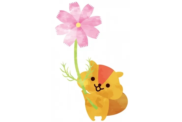 休校期間のお知らせ