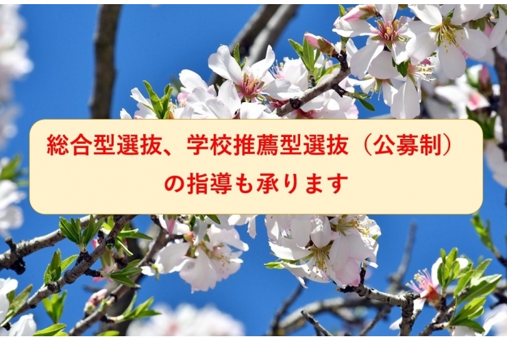 総合型選抜で今年も大学に合格