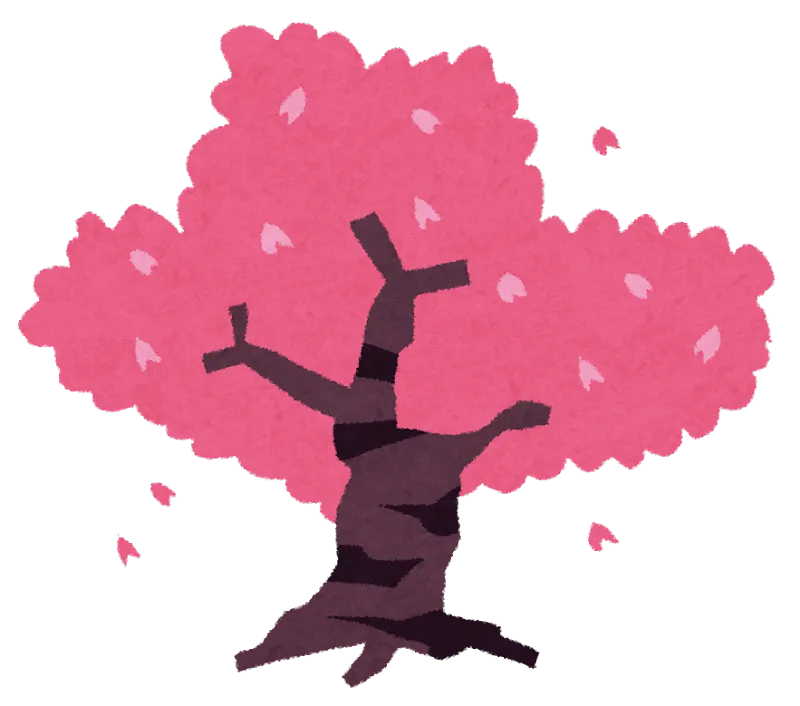 早くも桜の開花！