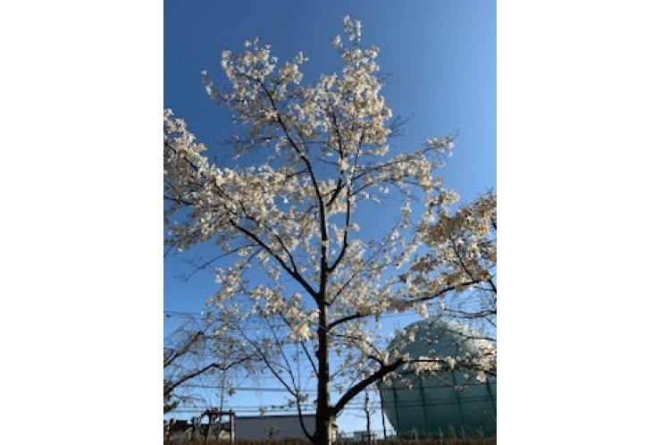 【スランプ】感じたときに見つめ直す3つのこと