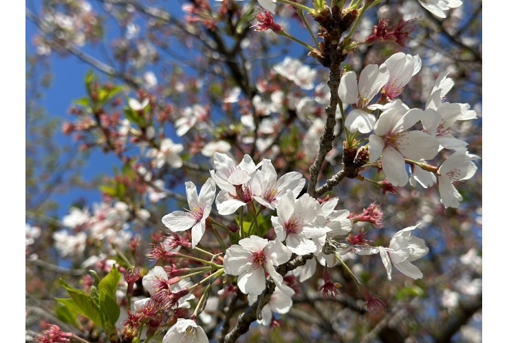 期末テストの重要性