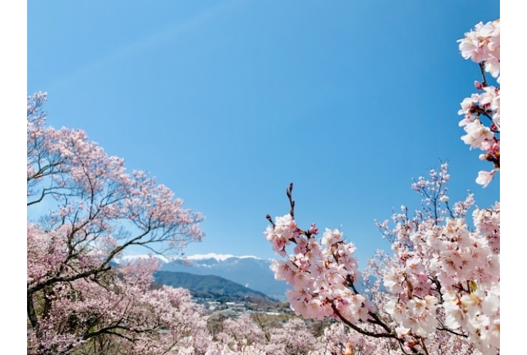入学後にはこんなことに・・・