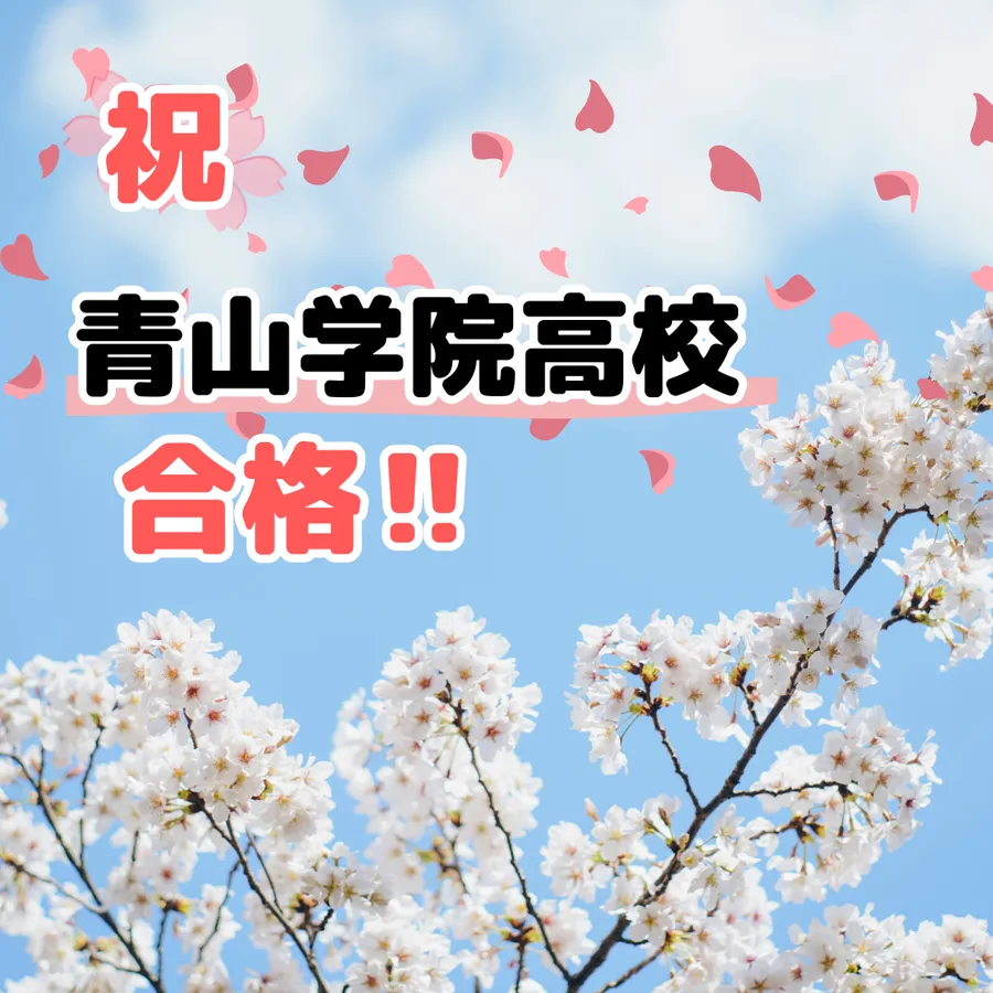 英才個別学院　駒沢校　合格実績