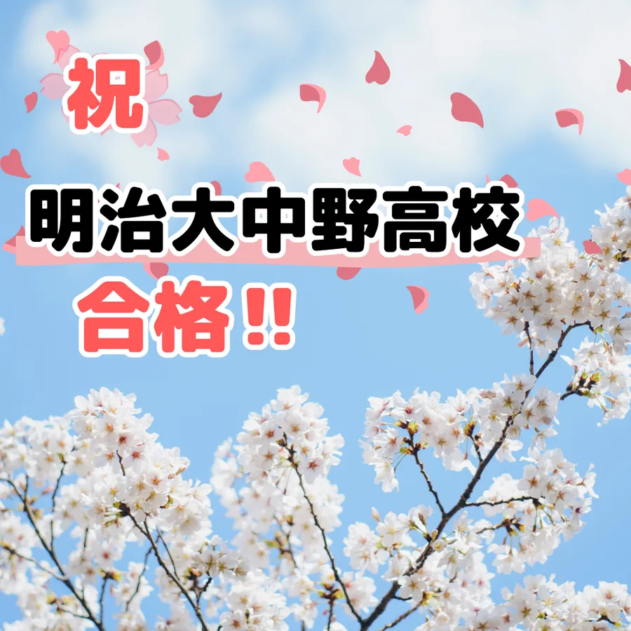 英才個別学院　駒沢校　合格実績