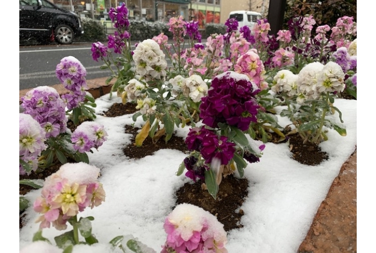 【国語のまとめ】中学3年生「世界はうつくしいと」
