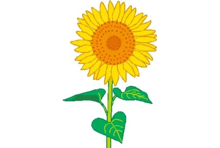 まだ間に合います