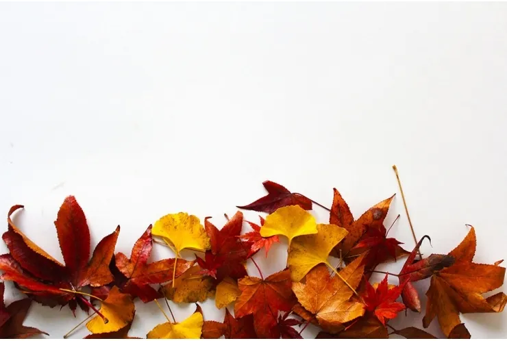 「勉強の秋」と夏の疲れ　   