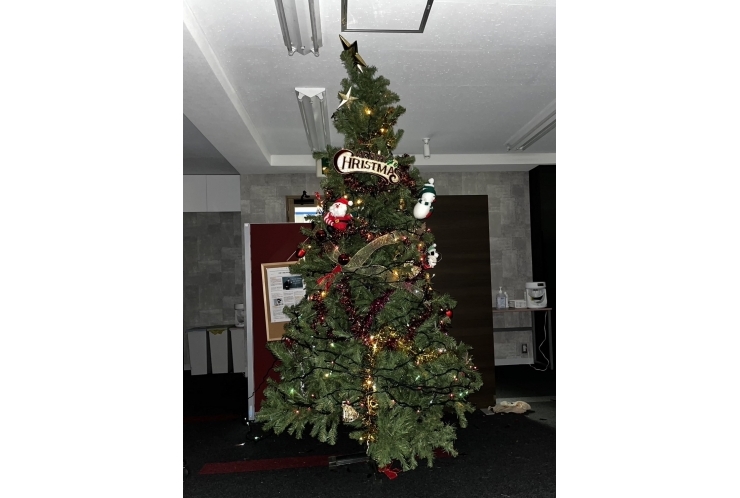 【クリスマスツリーが教室に！！】