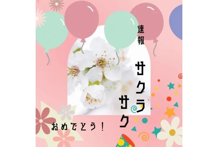 祝☆大学合格のお知らせ続々