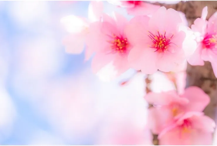 私立高校合格速報！！