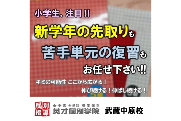 【小学生も！】先取りも復習もお任せを！