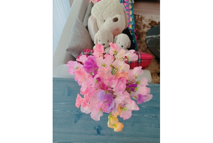 大学の受験結果が出揃いました＼( 'ω')／