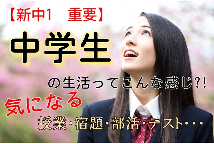 【新中学1年生へ】中学校ってどんな感じ？生徒・保護者必見!!