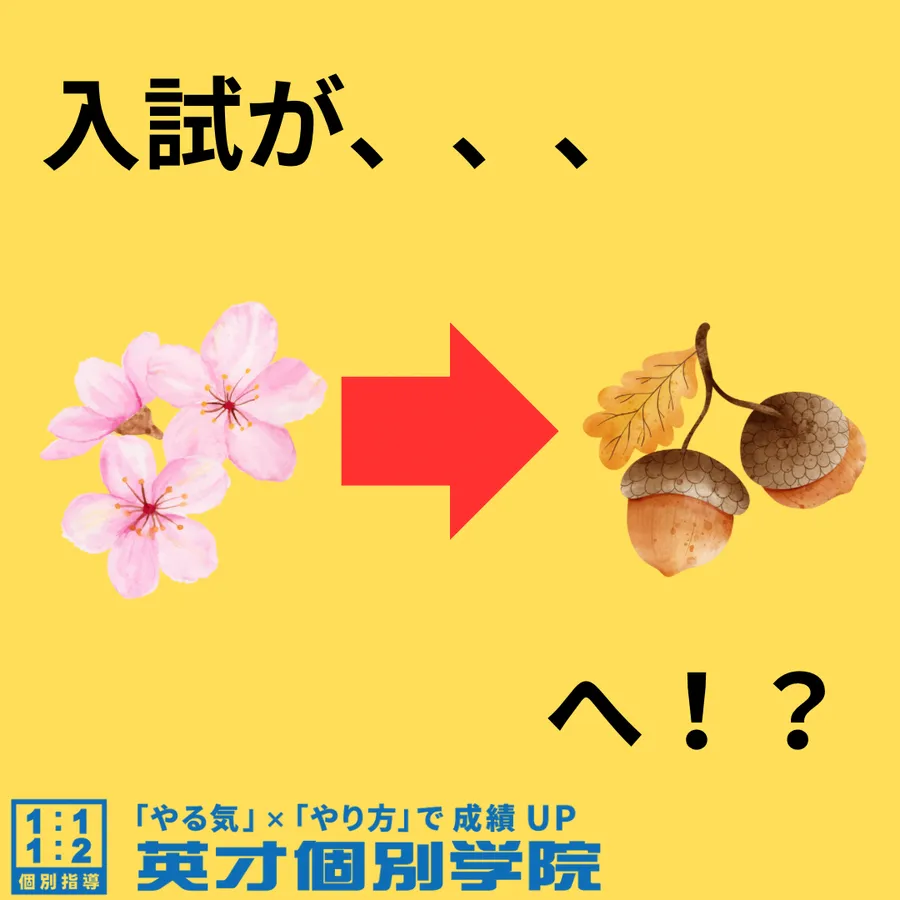 秋入学、増えていくと、、、！【花粉症】