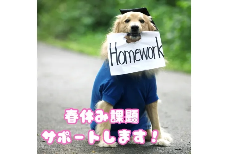 春休み課題、大サポート中！