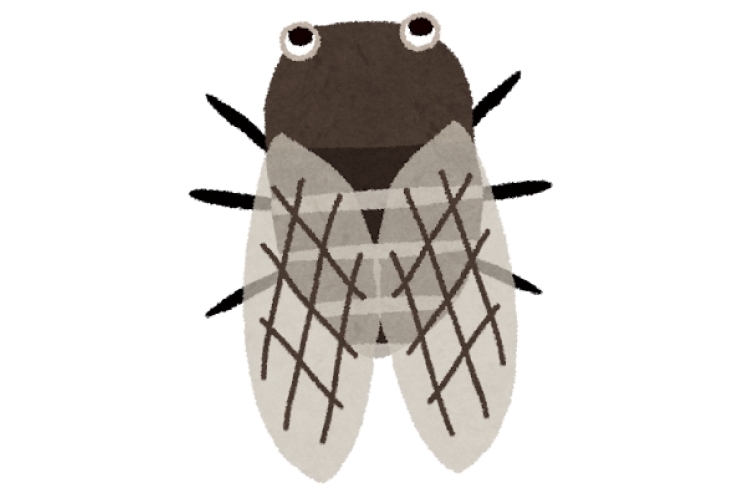 素数ゼミのなぜなにを考えてみよう！