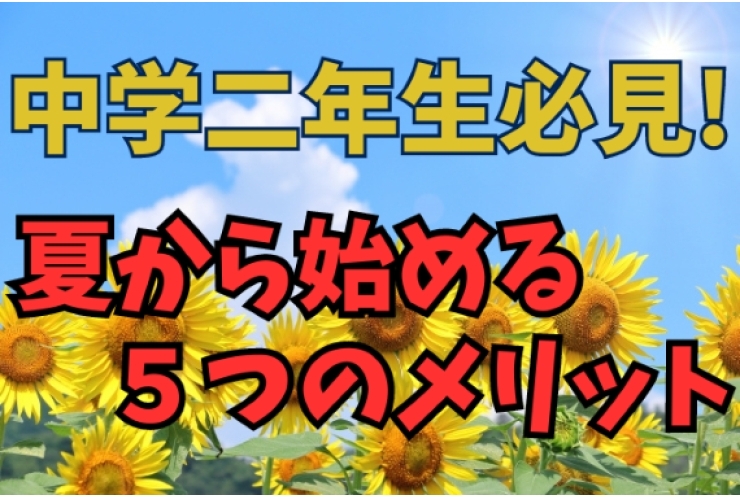 中学2年生必見！夏から始める5つの学習メリット