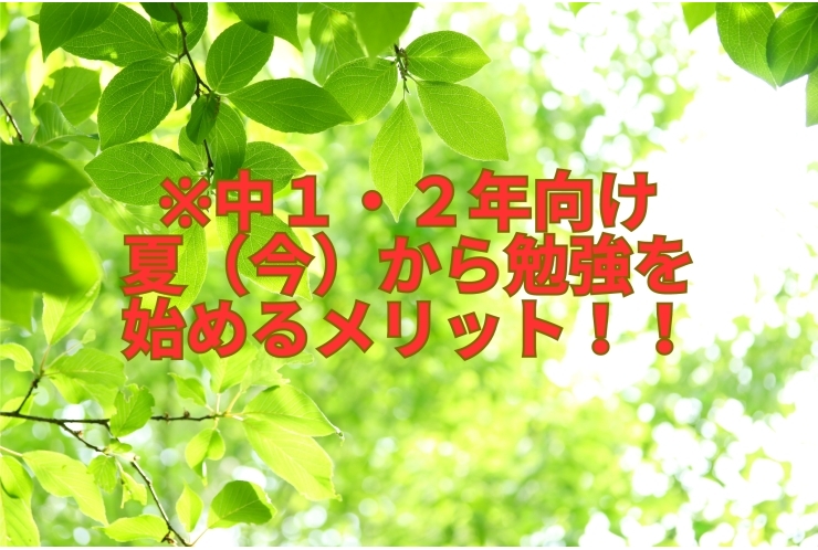 【中学１・2年生】夏（今）から勉強を始めるメリット