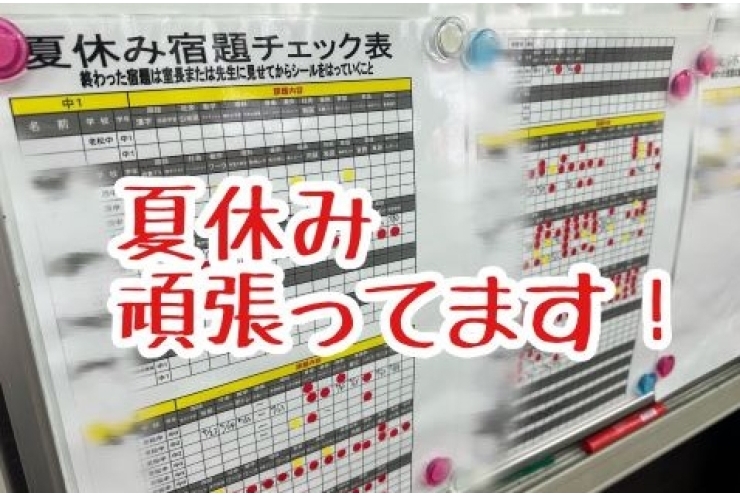 夏休み、がんばっています！