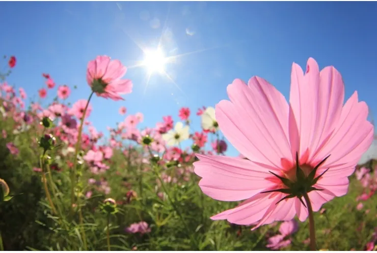 漢字クイズ解答！！