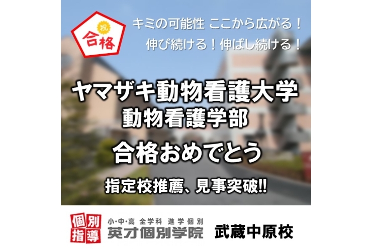 ヤマザキ動物看護大学、推薦入試合格！