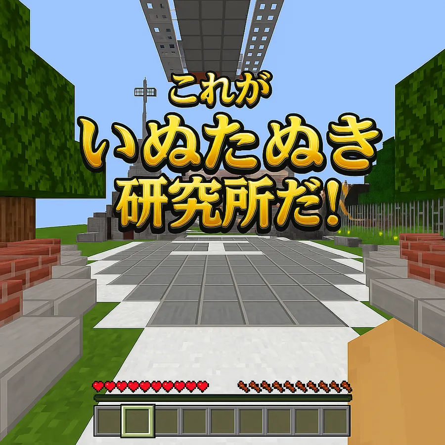 プログラミングの体験会って何やるの？