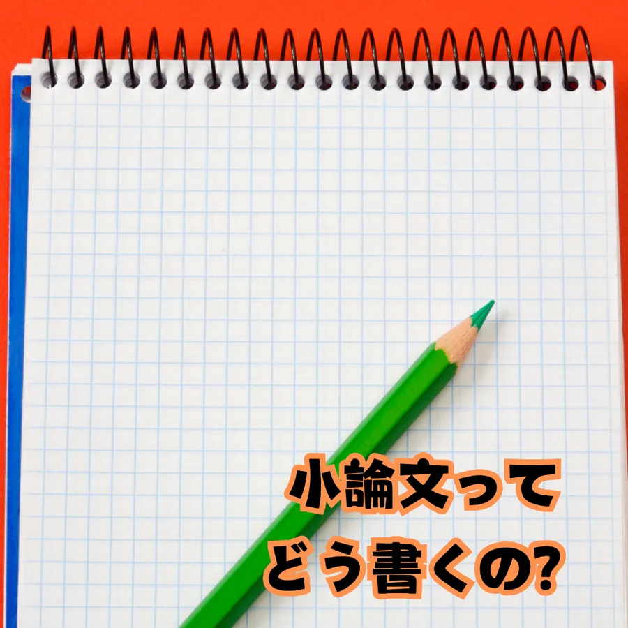 小論文ってどう書くの？〜中学生からはじめる小論文〜