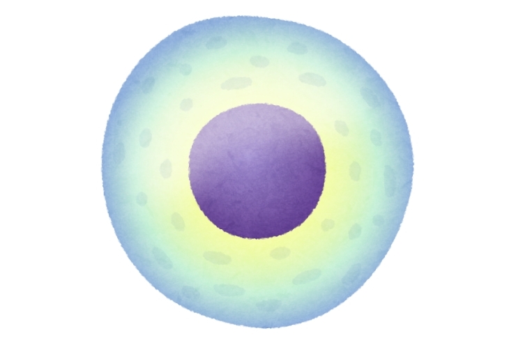 iPS細胞が身近に！？