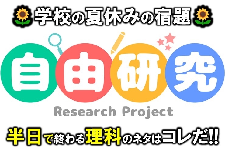 半日で終わるのはこれだ！