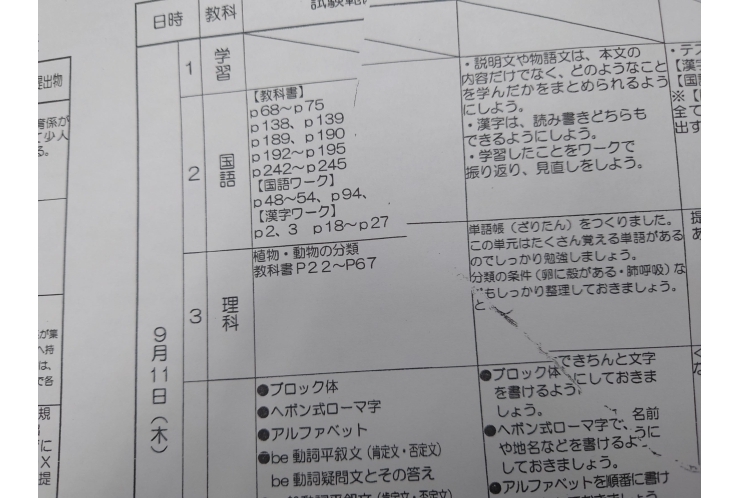 2025前期期末試験範囲分析：谷中中1年②