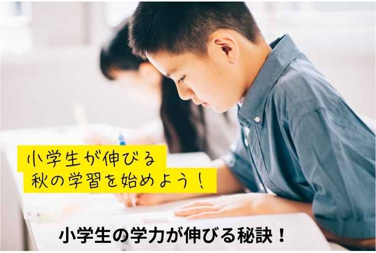 小学生が伸びる秋の学習法