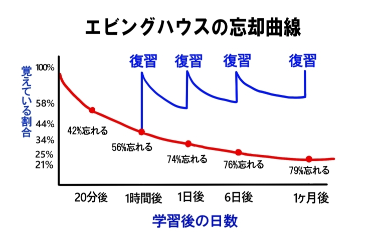 覚えても忘れちゃう!?　忘却曲線で“記憶を味方にする”勉強法