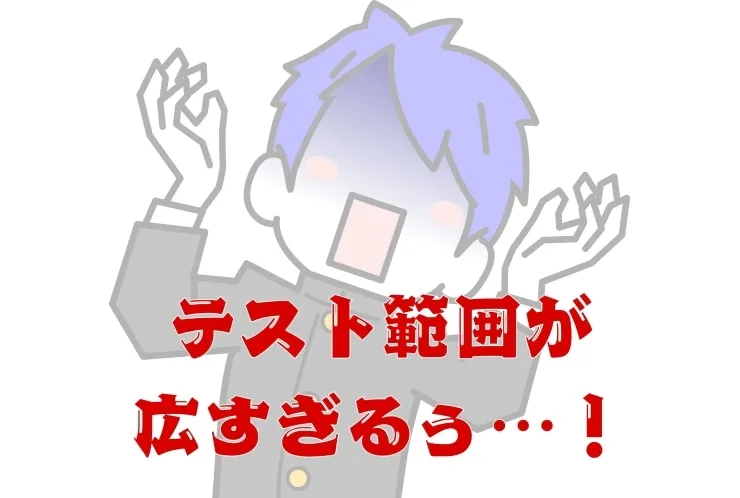 学年末テスト範囲が広すぎてパニック⚡個別カリキュラムで解決できるから安心♪